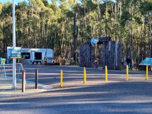 St Helens Mountain Bike Trails