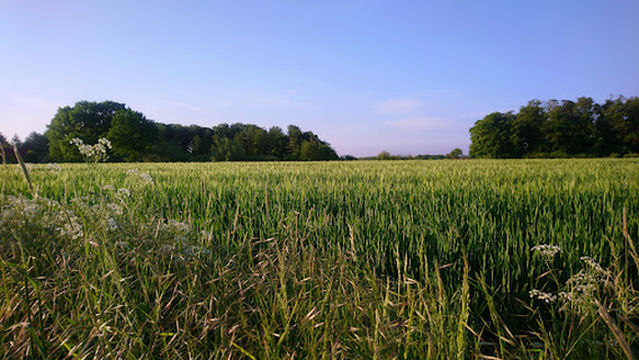 Seminarhof Schöppingen