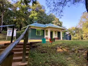 Ruhija Gorilla Trekking Camp - Trekking Gorillas