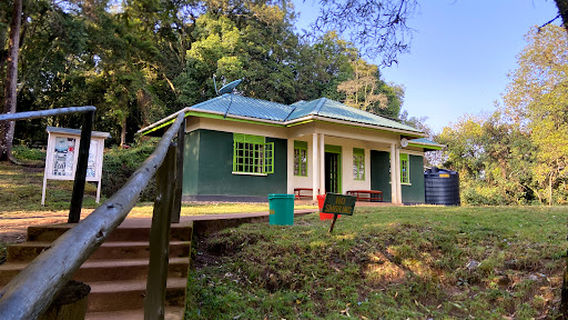 Ruhija Gorilla Trekking Camp - Trekking Gorillas