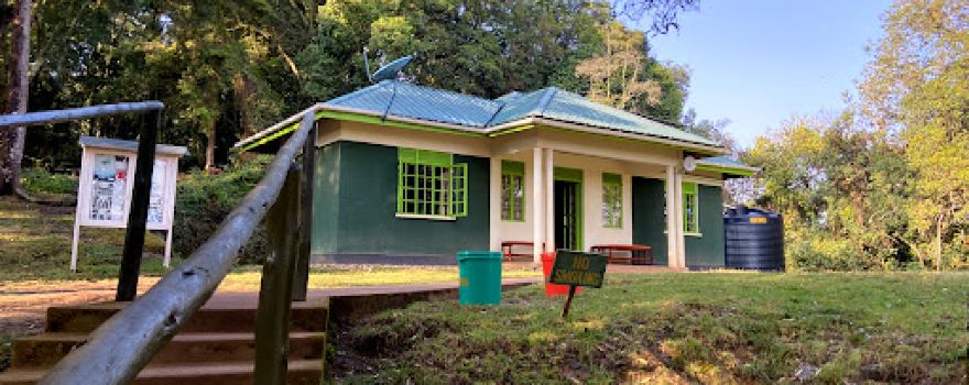 Ruhija Gorilla Trekking Camp - Trekking Gorillas