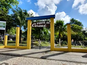 Fonte do Caranã