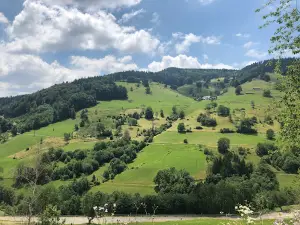 Hasenhorn Rodelbahn Todtnau