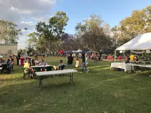Theodore Bowls Club