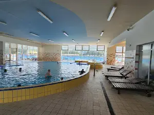 Termálne kúpalisko Vincov les