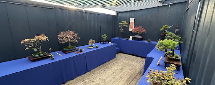 Bud Garden Centre