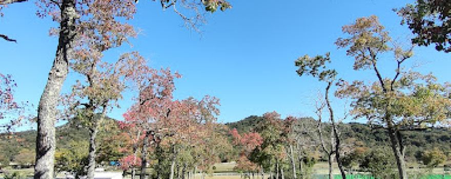 Shiga Prefectural Kibogaoka Cultural Park