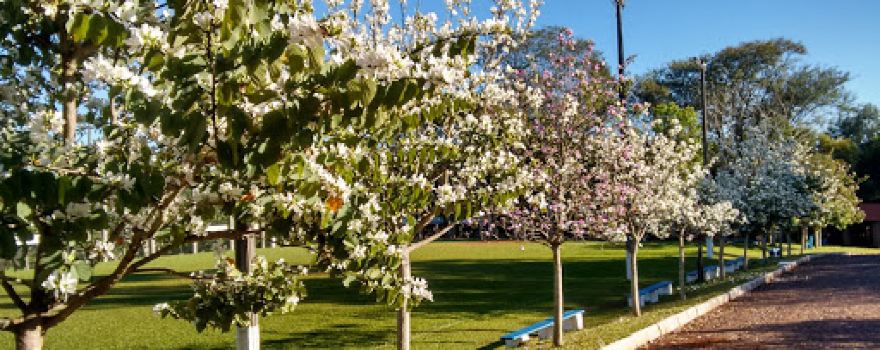 Clube Campestre Cerro Azul