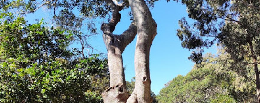 Moora Park Playground - Ziggy Go