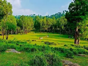 Kotli Sattian