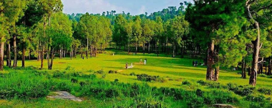 Kotli Sattian