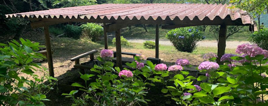 Ajimitogesakura Park