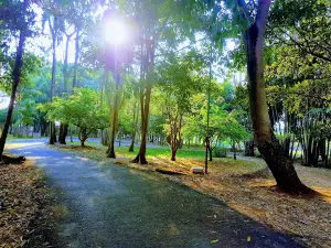 Vale Princess Park
