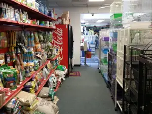 Pet Zone