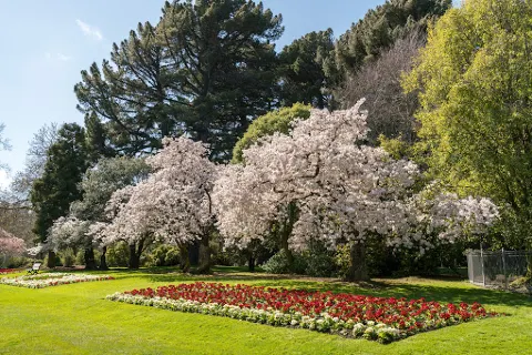 Queens Park