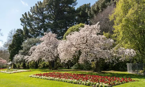 Queens Park