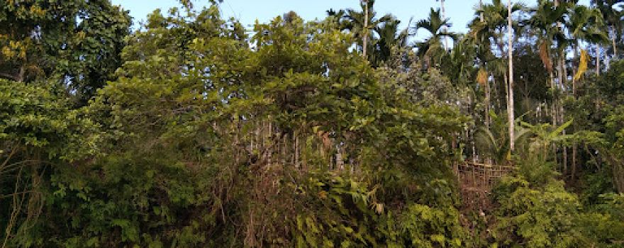 Wisata Krueng Tuan