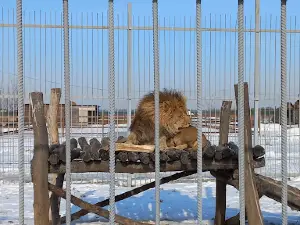 "Wonderful" Zoo