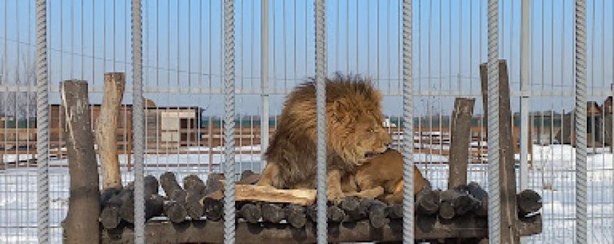 "Wonderful" Zoo