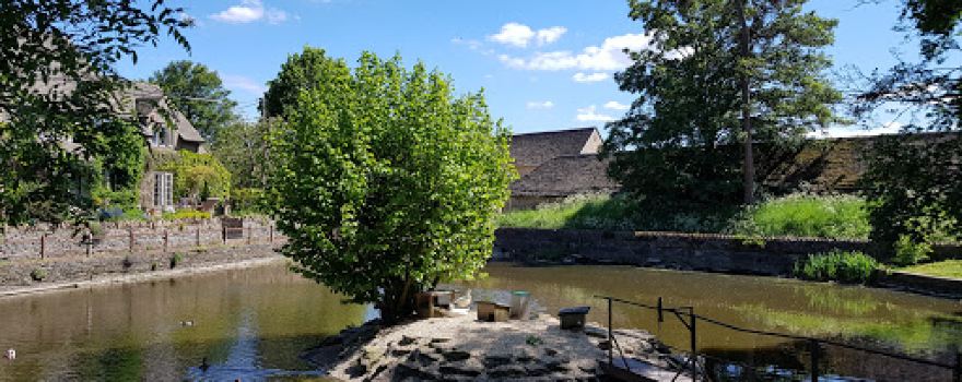 Alderton Duck Pond