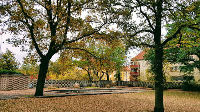 Flowerbeds in the park