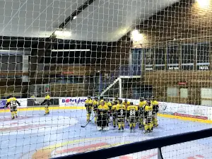 Patinoire de Roanne