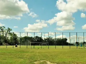 Stadion