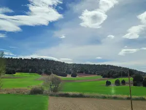 Ojos de Monreal