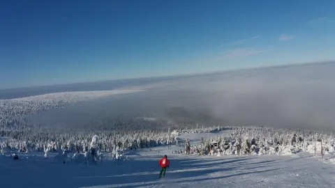 Szrenica Ski Arena attraction in 폴란드