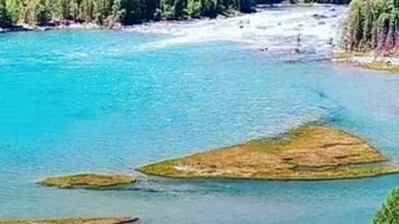 xin jiang ka la mai li shan you ti lei zi ran bao hu qu