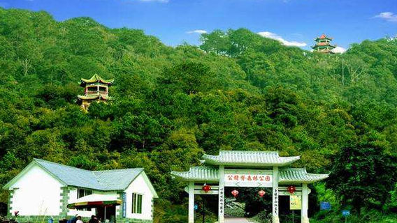 Gongzhuji Forest Park