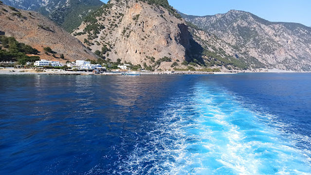 White Mountains Forest Preserve