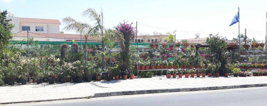 Kissos Garden Centre.
