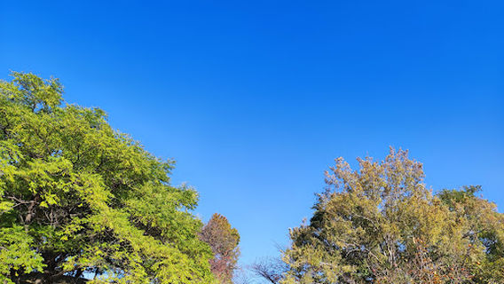 Tsudo-shiroyama Kofun