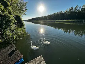 Special nature reserve Gornje Podunavlje