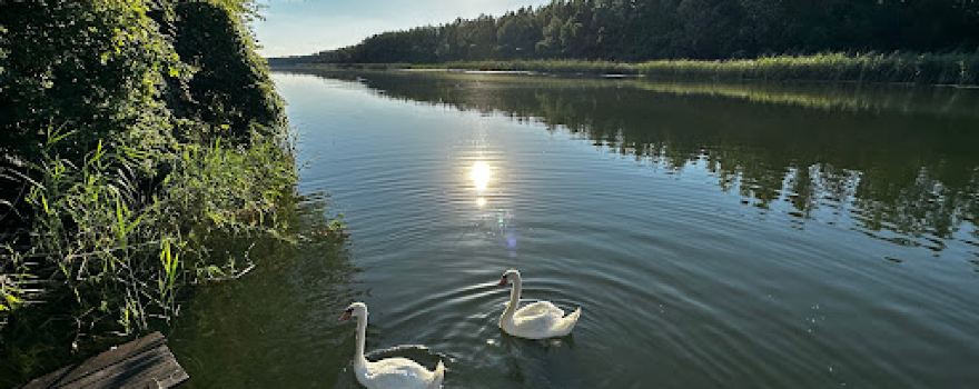 Special nature reserve Gornje Podunavlje