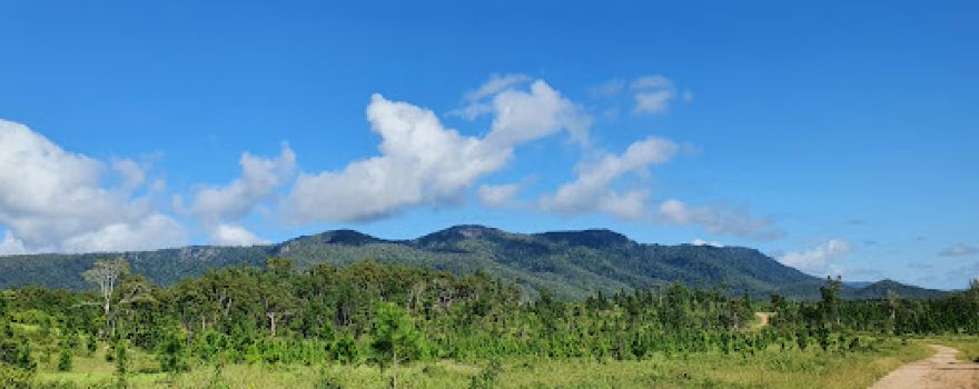Jaxut camping area, Cathu State Forest
