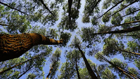 Curug Layung & Camping Ground