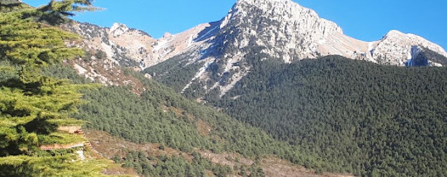 Castell de Gósol