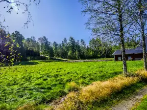 Viking Republic Nature Camp