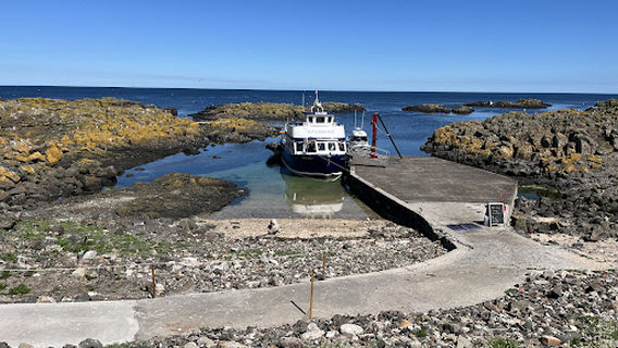 Isle of May Boat Trips