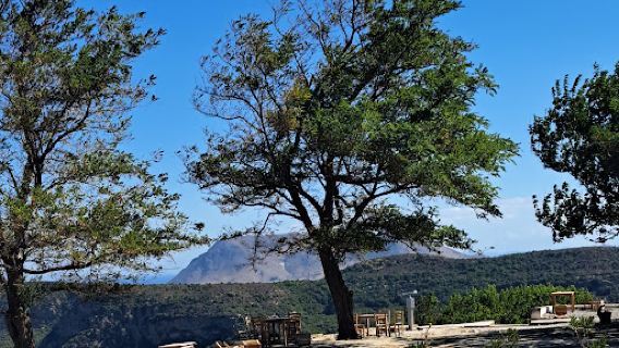 Tepeköy Çınaraltı