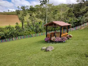 Produtos Maracanã - Colhe e Pague de Morangos