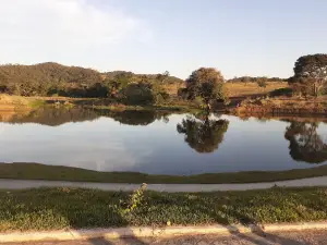 Lago Josias Alves