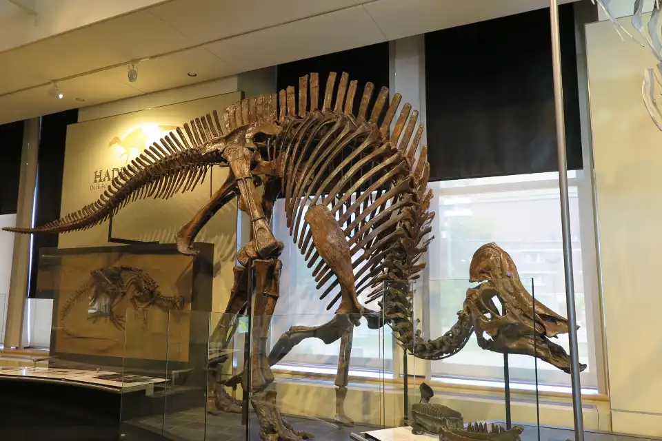5_Canadian Museum of Nature