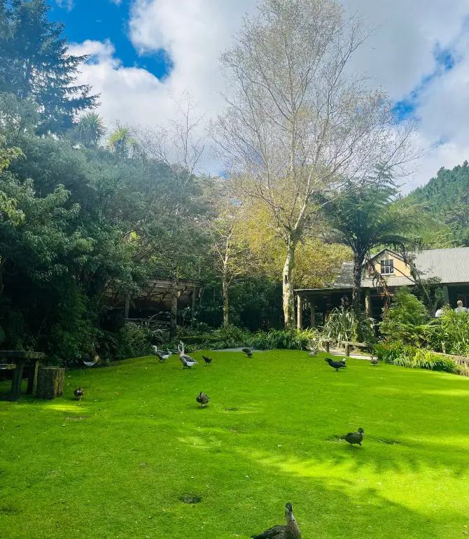Upper Hutt