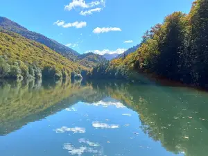 Biogradska gora National Park