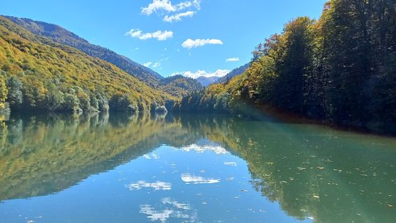 Biogradska gora National Park