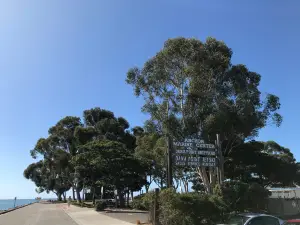 Doheny State Beach