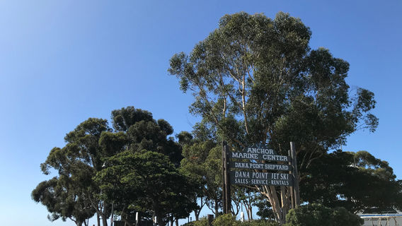 Dana Point